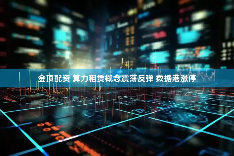 金顶配资 算力租赁概念震荡反弹 数据港涨停