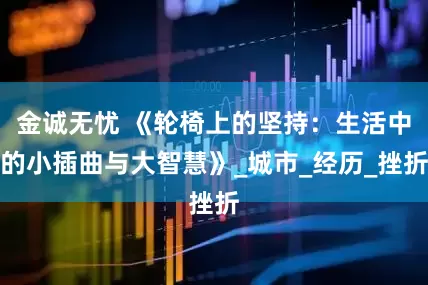 金诚无忧 《轮椅上的坚持：生活中的小插曲与大智慧》_城市_经历_挫折