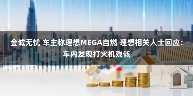 金诚无忧 车主称理想MEGA自燃 理想相关人士回应：车内发现打火机残骸