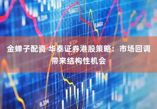 金蝉子配资 华泰证券港股策略：市场回调带来结构性机会
