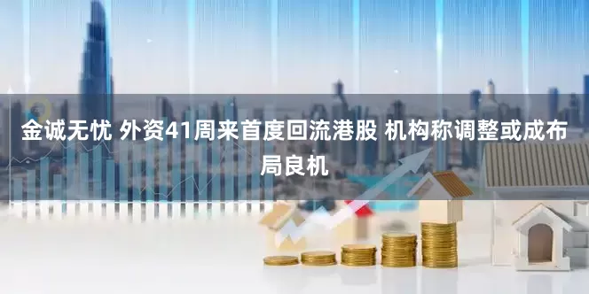 金诚无忧 外资41周来首度回流港股 机构称调整或成布局良机