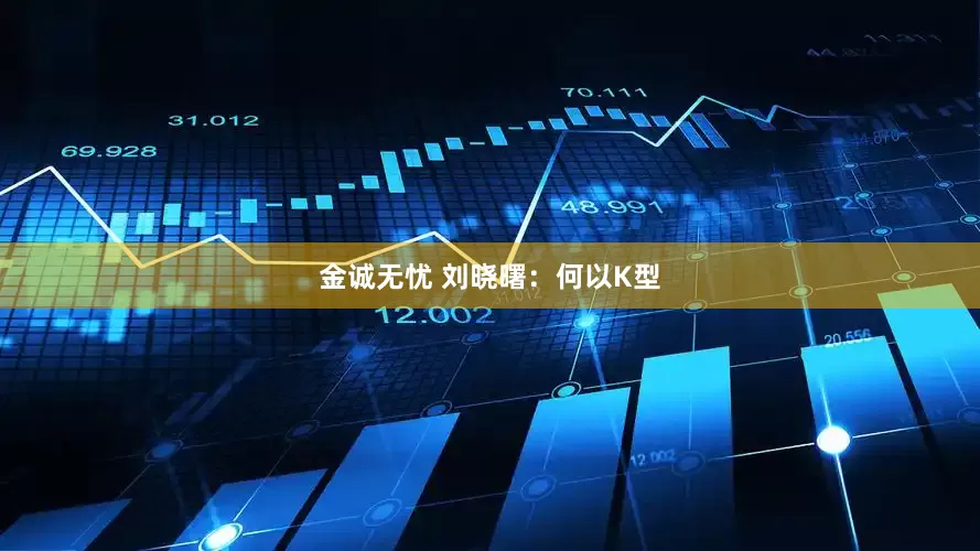 金诚无忧 刘晓曙：何以K型